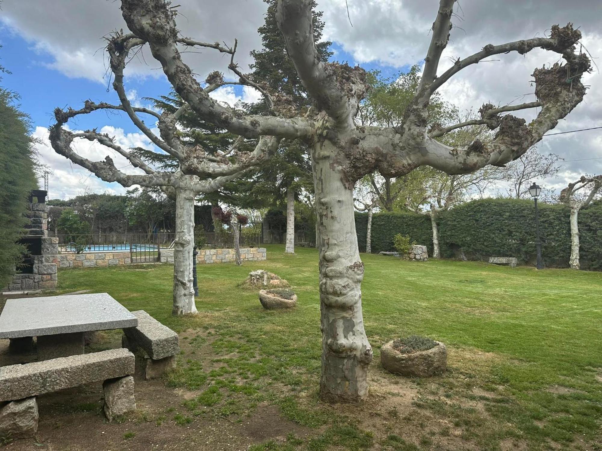 Casa Rural El Cordel La Serrada Luaran gambar